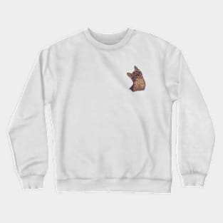 Kitten Tabby Cat Crewneck Sweatshirt